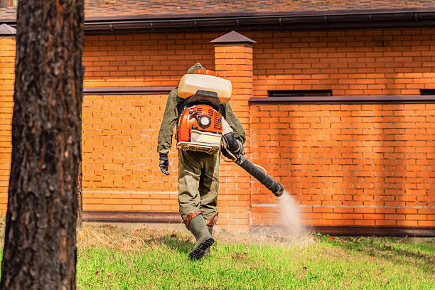 Trusted Termite Control service in Moravian Falls, NC - Nex Pest Control